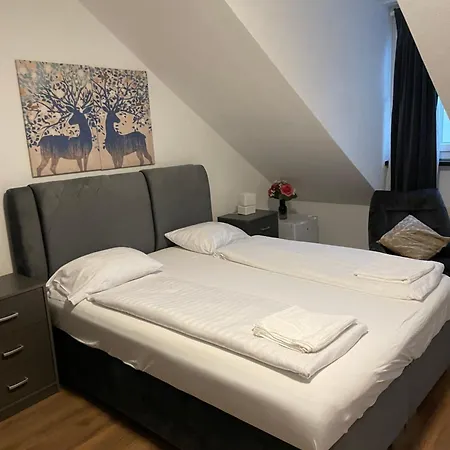 Hecht * Zurich